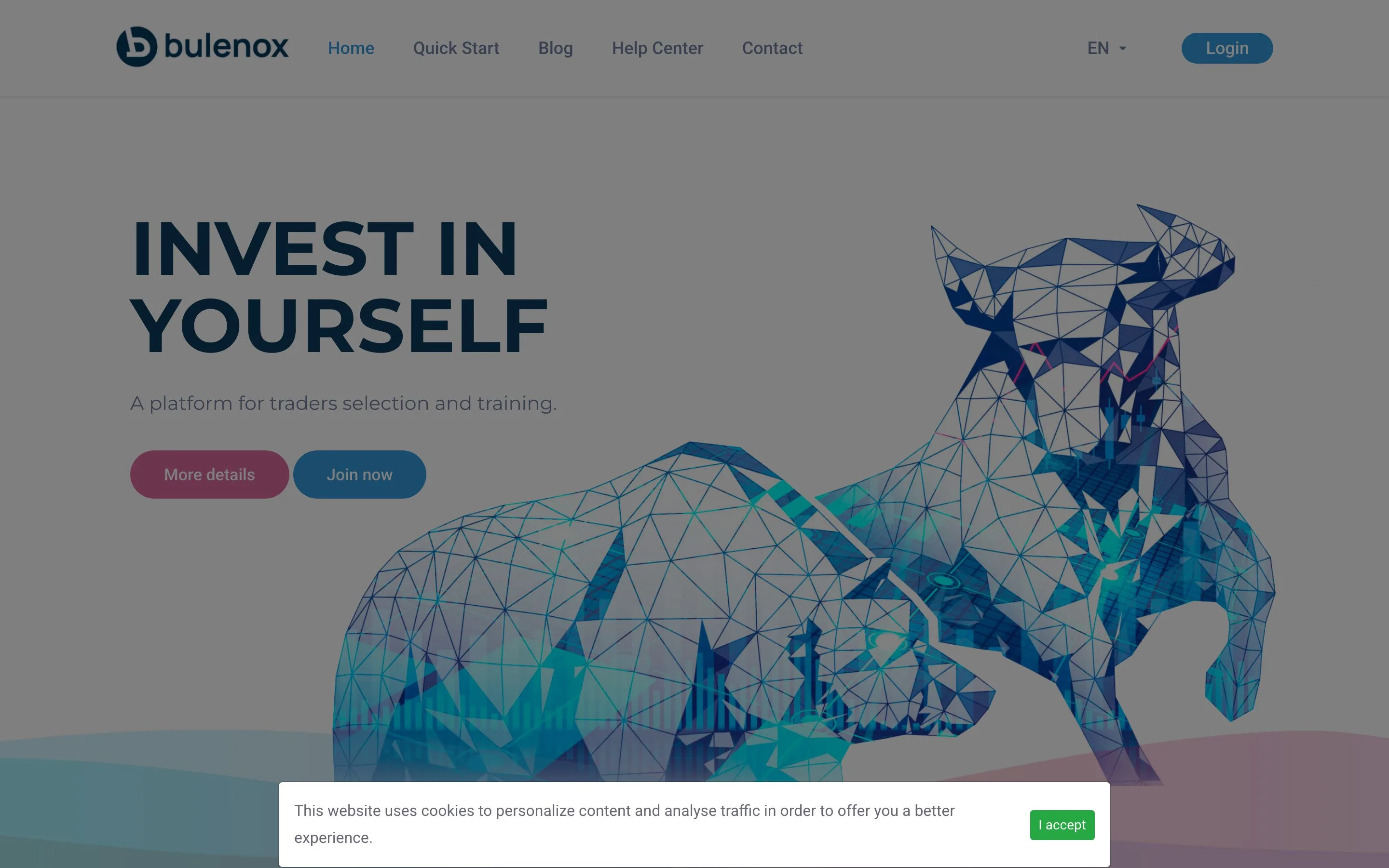 Website von Bluenox